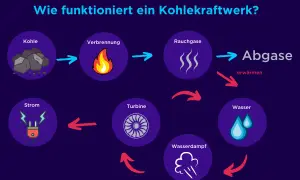 So funktioniert ein Kohlekraftwerk: Kohle verbrennt, erzeugt Rauchgase, die Wasser erhitzen. Dampf treibt Turbine an, die Strom erzeugt.