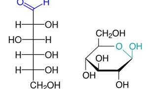 Chemische Strukturformeln: links ein Aldehyd (O=CH), rechts ein Hydroperoxid (O-O-OH). Beide sind Vorläufer für reduzierende Zucker.