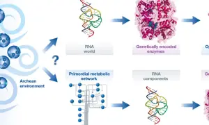 Schematische Darstellung der chemischen Evolution: vom archaischen Milieu über RNA-Welt und Stoffwechselnetzwerke zu genetisch kodierten Enzymen.