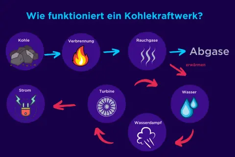 So funktioniert ein Kohlekraftwerk: Kohle verbrennt, erzeugt Rauchgase, die Wasser erhitzen. Dampf treibt Turbine an, die Strom erzeugt.