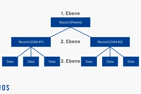 Hierarchische Struktur zeigt, was ein Datenbanksystem ist: ein Eltern-Record mit zwei Kind-Records, die jeweils Daten enthalten.