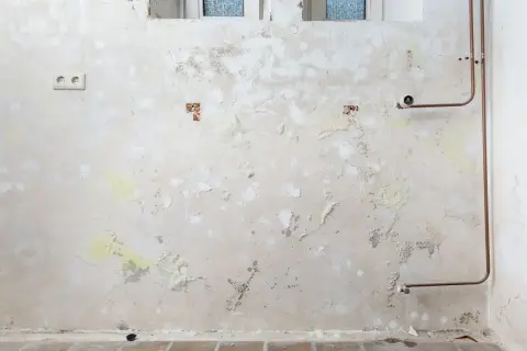 Feuchte Wand mit abblätternder Farbe und gelblichen Ausblühungen, die auf Salpeter hindeuten. Kupferrohre und eine Steckdose sind sichtbar.