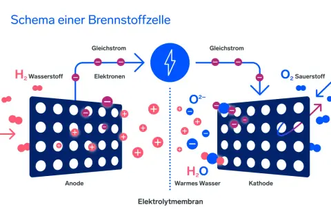 Schema einer Brennstoffzelle: Wasserstoff (H₂) wird an der Anode in Elektronen und Protonen gespalten. Die Elektronen fließen als Gleichstrom, während die Protonen durch die Elektrolytmembran zur Kathode wandern, wo sie mit Sauerstoff (O₂) zu Wasser (H...