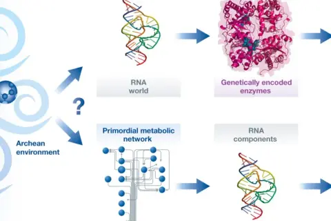 Schematische Darstellung der chemischen Evolution: vom archaischen Milieu über RNA-Welt und Stoffwechselnetzwerke zu genetisch kodierten Enzymen.