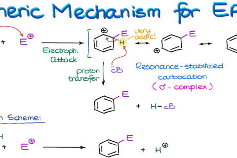 Schema der elektrophilen aromatischen Substitution: Ein Elektrophil greift an, bildet ein resonanzstabilisiertes Carbokation (σ-Komplex), gefolgt von Protonentransfer.