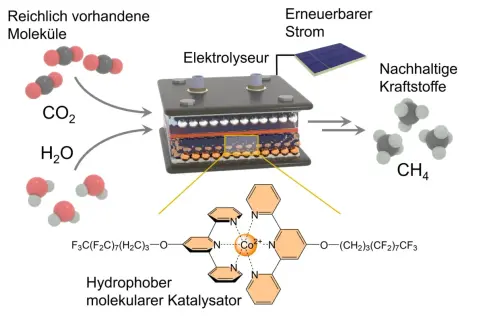 Ein Elektrolyseur wandelt CO2 und H2O mit erneuerbarem Strom in CH4 um. Ein molekularer Katalysator, was ist ein Katalysator, beschleunigt diese Reaktion.
