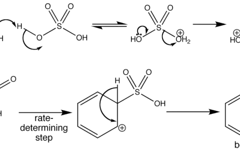 Reaktionsmechanismus zur Bildung von Benzolsulfonsäure: Schwefelsäure reagiert mit Wasser, dann greift Benzol an.
