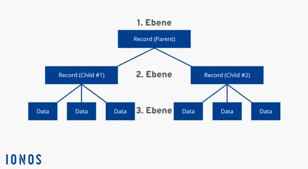 Hierarchische Struktur zeigt, was ein Datenbanksystem ist: ein Eltern-Record mit zwei Kind-Records, die jeweils Daten enthalten.