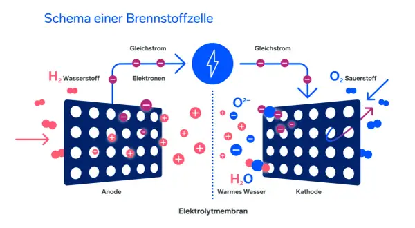 Schema einer Brennstoffzelle: Wasserstoff (H₂) wird an der Anode in Elektronen und Protonen gespalten. Die Elektronen fließen als Gleichstrom, während die Protonen durch die Elektrolytmembran zur Kathode wandern, wo sie mit Sauerstoff (O₂) zu Wasser (H...