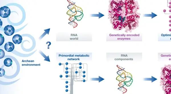 Schematische Darstellung der chemischen Evolution: vom archaischen Milieu über RNA-Welt und Stoffwechselnetzwerke zu genetisch kodierten Enzymen.