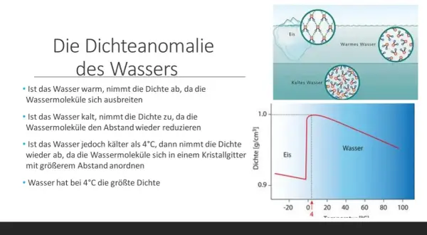 Die Dichteanomalie von Wasser: Bei 4°C ist die Dichte am größten. Kaltes Wasser dehnt sich beim Gefrieren aus, was besondere Wasser Eigenschaften zeigt.