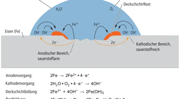 Schema der elektrochemischen Korrosion: Wasser und Sauerstoff reagieren mit Eisen, wobei an anodischen und kathodischen Bereichen Ionen entstehen.