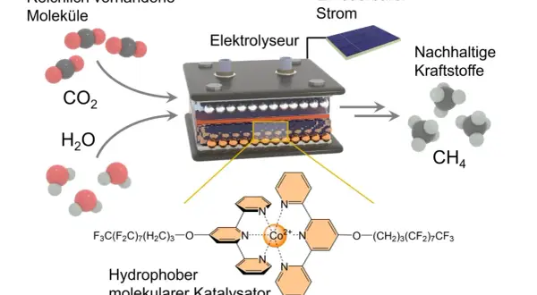 Ein Elektrolyseur wandelt CO2 und H2O mit erneuerbarem Strom in CH4 um. Ein molekularer Katalysator, was ist ein Katalysator, beschleunigt diese Reaktion.