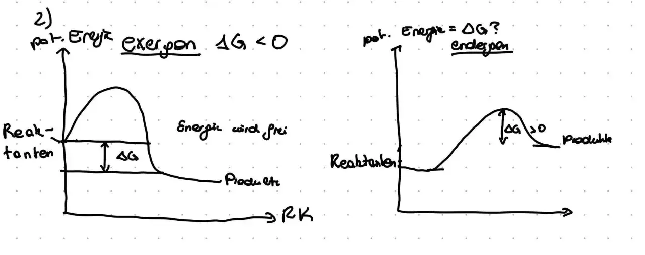 Zwei Diagramme zeigen Energieprofile von Reaktionen. Links eine exergonische Reaktion mit Energiefreisetzung (ΔG < 0), rechts eine endergone Reaktion mit Energieaufnahme (ΔG > 0).