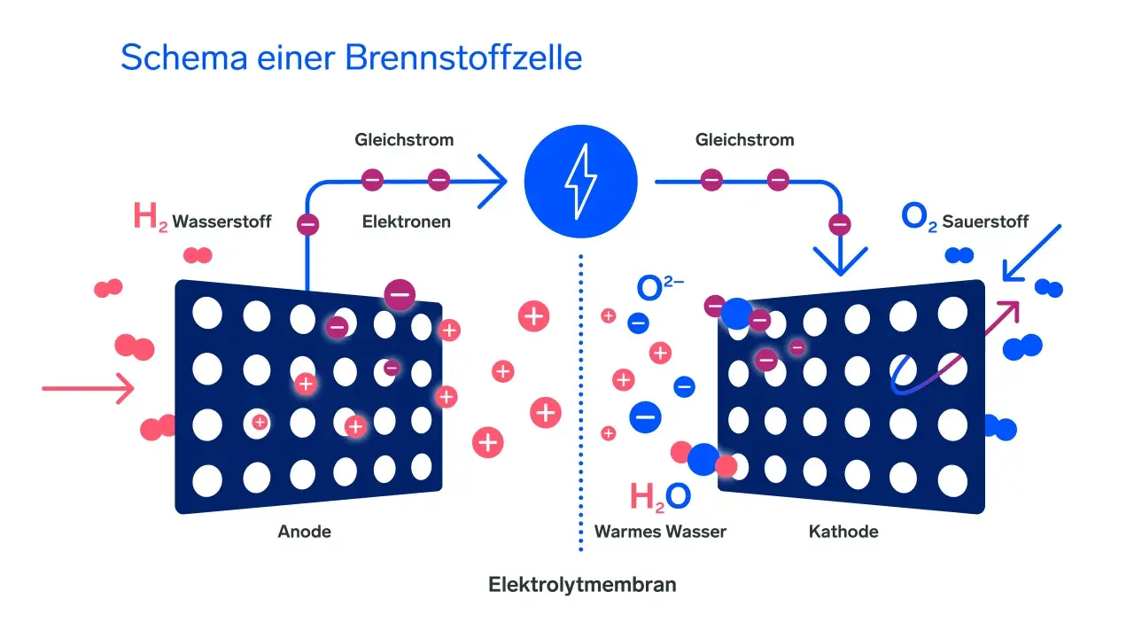 Schema einer Brennstoffzelle: Wasserstoff (H₂) wird an der Anode in Elektronen und Protonen gespalten. Die Elektronen fließen als Gleichstrom, während die Protonen durch die Elektrolytmembran zur Kathode wandern, wo sie mit Sauerstoff (O₂) zu Wasser (H...