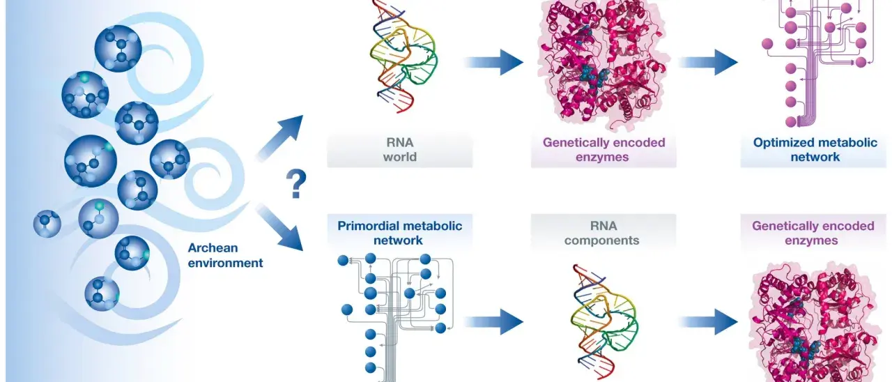 Schematische Darstellung der chemischen Evolution: vom archaischen Milieu über RNA-Welt und Stoffwechselnetzwerke zu genetisch kodierten Enzymen.