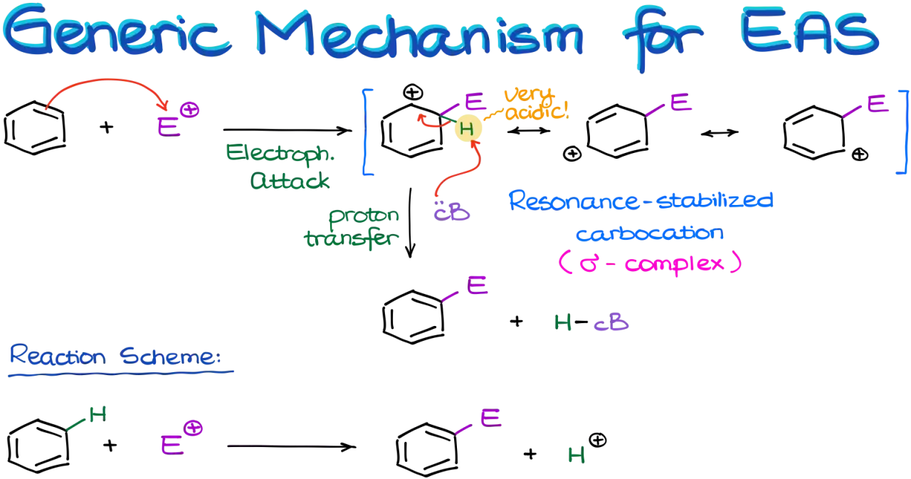 Schema der elektrophilen aromatischen Substitution: Ein Elektrophil greift an, bildet ein resonanzstabilisiertes Carbokation (σ-Komplex), gefolgt von Protonentransfer.