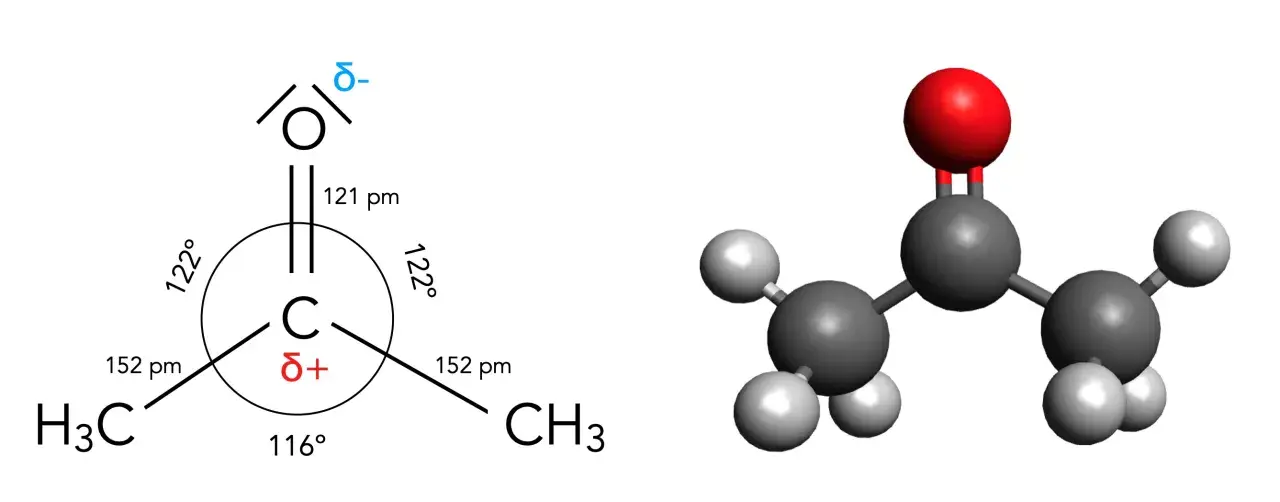 Aceton Strukturformel: schematische Darstellung mit Bindungswinkeln und -längen, sowie eine Kugel-Stab-Modell-Ansicht.