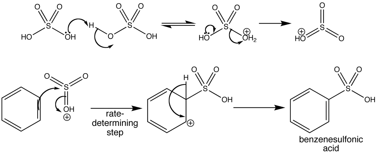 Reaktionsmechanismus zur Bildung von Benzolsulfonsäure: Schwefelsäure reagiert mit Wasser, dann greift Benzol an.