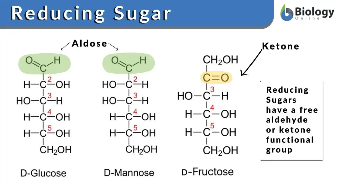 Chemische Strukturen von D-Glucose, D-Mannose (Aldosen) und D-Fructose (Keton).