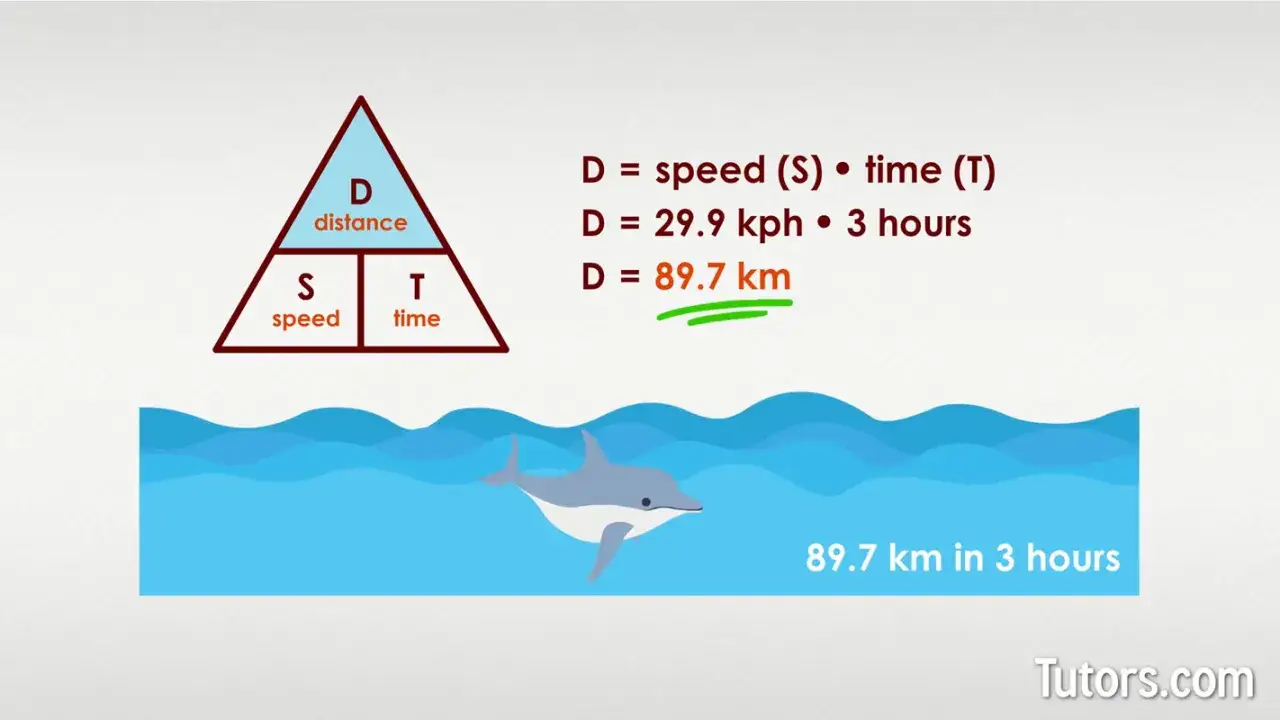 Formel zur fahrzeit berechnen: 89,7 km in 3 Stunden. Ein Delfin schwimmt im Meer.