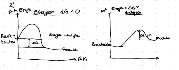 Zwei Diagramme zeigen Energieprofile von Reaktionen. Links eine exergonische Reaktion mit Energiefreisetzung (ΔG < 0), rechts eine endergone Reaktion mit Energieaufnahme (ΔG > 0).