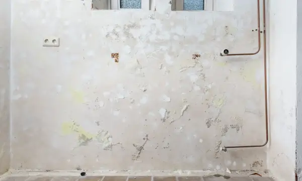 Feuchte Wand mit abblätternder Farbe und gelblichen Ausblühungen, die auf Salpeter hindeuten. Kupferrohre und eine Steckdose sind sichtbar.