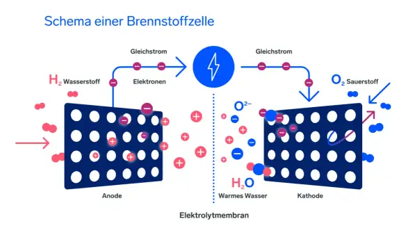 Schema einer Brennstoffzelle: Wasserstoff (H₂) wird an der Anode in Elektronen und Protonen gespalten. Die Elektronen fließen als Gleichstrom, während die Protonen durch die Elektrolytmembran zur Kathode wandern, wo sie mit Sauerstoff (O₂) zu Wasser (H...