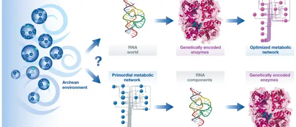 Schematische Darstellung der chemischen Evolution: vom archaischen Milieu über RNA-Welt und Stoffwechselnetzwerke zu genetisch kodierten Enzymen.