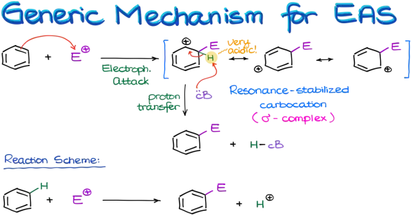 Schema der elektrophilen aromatischen Substitution: Ein Elektrophil greift an, bildet ein resonanzstabilisiertes Carbokation (σ-Komplex), gefolgt von Protonentransfer.