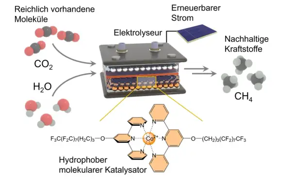 Ein Elektrolyseur wandelt CO2 und H2O mit erneuerbarem Strom in CH4 um. Ein molekularer Katalysator, was ist ein Katalysator, beschleunigt diese Reaktion.